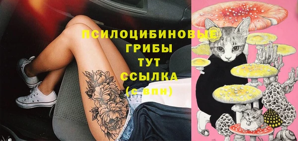 сатива Лихославль