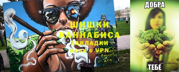 сатива Лихославль