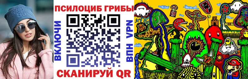дарнет шоп  kraken маркетплейс  Псилоцибиновые грибы мицелий  Мегион 